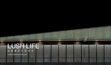 1623814146702694.jpg 20191221133344.jpg